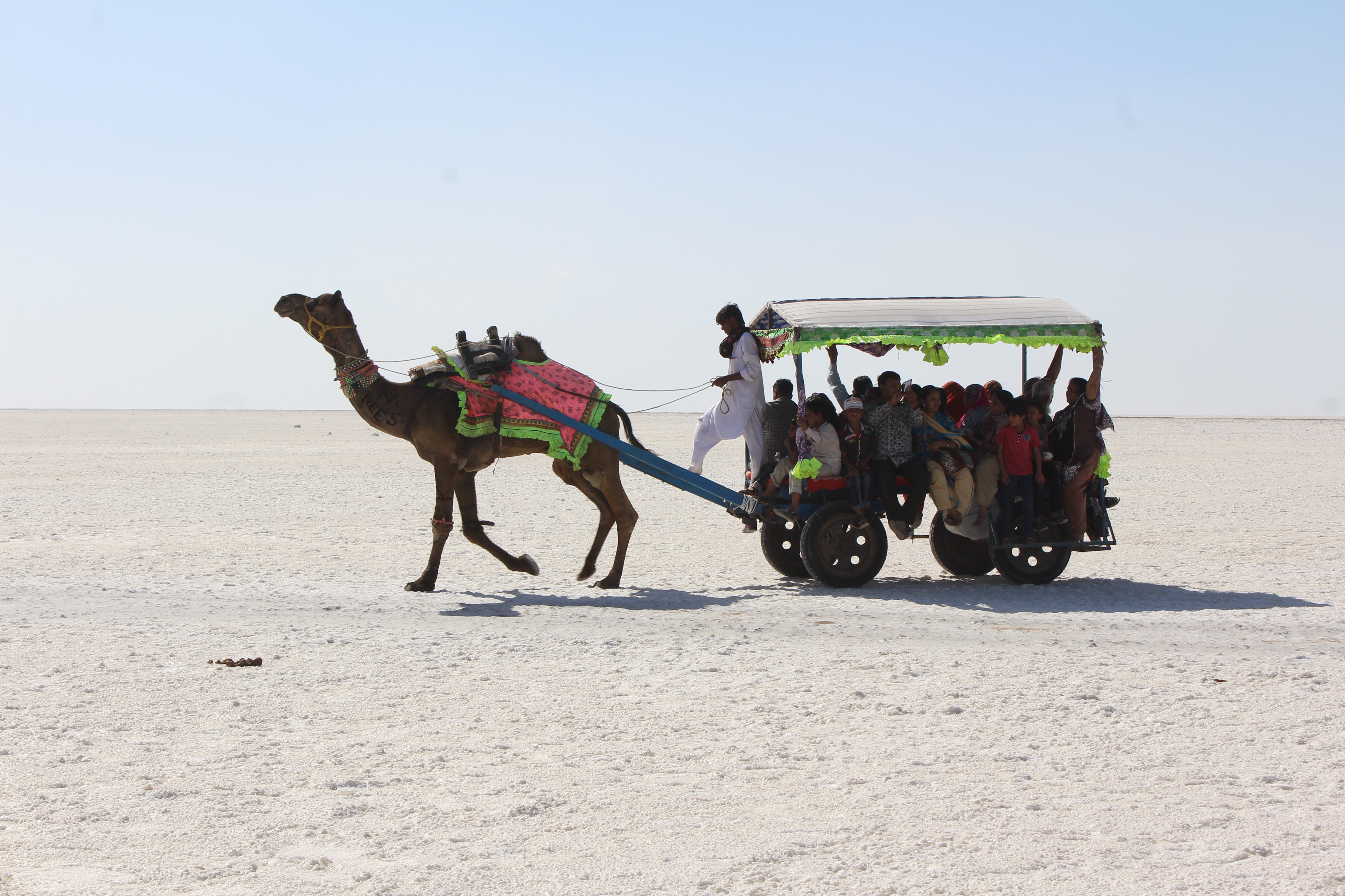 Exploring the Enchanting Beauty of Kutch: A Land of Vibrant Cultures and Mesmerizing Landscapes